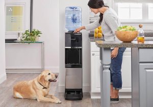 Primo Water Dispenser with Pet Station